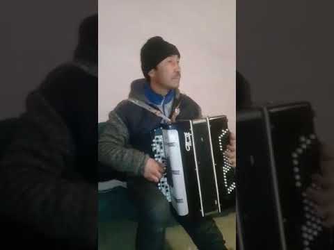 Видео: Ыссык кол областына караштуу Ак булун айылынын тургуну