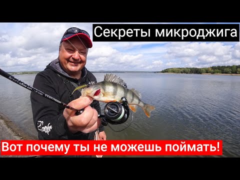 Видео: СЕКРЕТЫ МИКРОДЖИГА: проводки, приманки, нюансы. Как точно поймать окуня на спиннинг весной и летом?