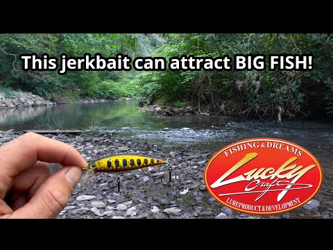 Видео: Ловля ФОРЕЛИ на ДЖЕРБЕЙТ! (Это было неожиданно)