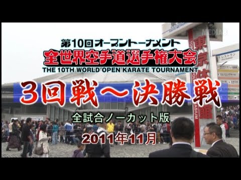 Видео: 10-й Чемпионат мира ИКО (2011). Бои с 3-го круга до финала.