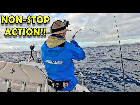 Видео: Риф был ЖИВЫМ! | Я поймал дневную норму рыбы за 3 часа!