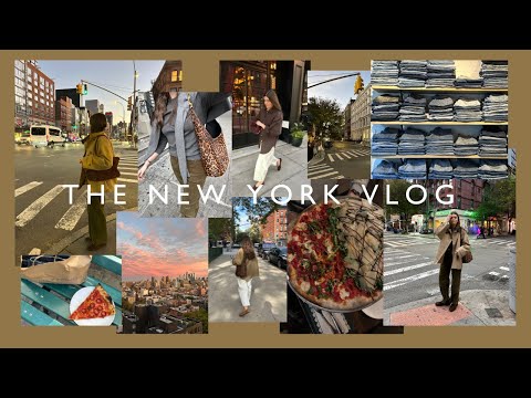 Видео: Нью-Йоркский видеоблог!!! | The Anna Edit