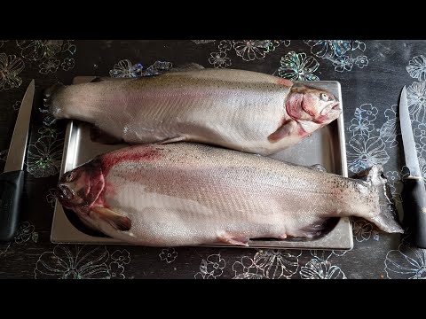 Видео: ФОРЕЛЬ ПРОВЕСНАЯ! САМАЯ ВКУСНАЯ! Выпуск №1135