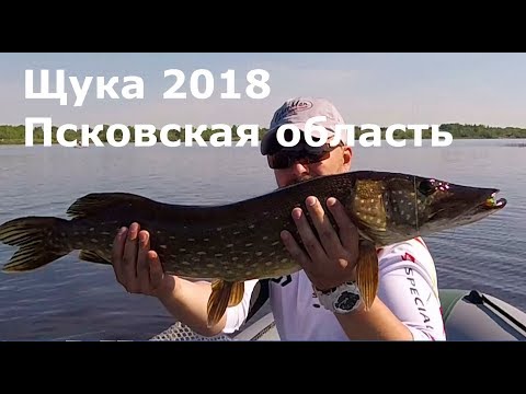 Видео: Конец нерестового запрета 2018. Рыбалка. Щука. Псковская область