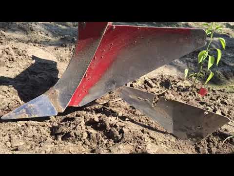 Видео: Дополнительные крылья окучников МоторСич. Окучники в работе. 13 июня 2021 г.