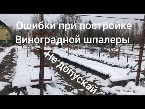 Видео: ошибки которые я допустил при постройке шпалеры для винограда не допускай этих ошибок