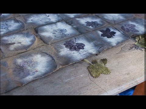 Видео: Окрашивание ткани натуральными красителями: Шишки ольхи.  / Natural Dyes: Alder cones.