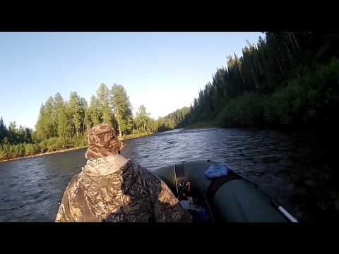 Видео: Река Уса, Река Чексу, Solar 450 Suzuki 40 jet