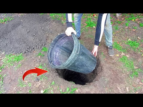 Видео: ЗАКОПАЛ БОЧКУ во дворе! СУПЕР ИДЕЯ для дома!