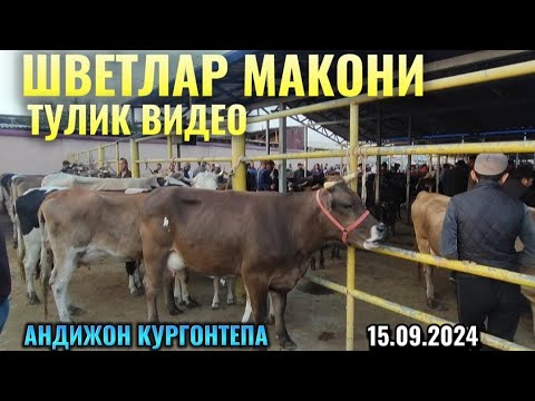 Видео: АНДИЖОН КУРГОНТЕПА МОЛ БОЗОР НАРХЛАРИ ТУЛИК ВИДЕО 15.09.2024