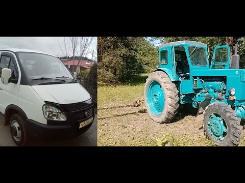 Видео: Трактор Т-40 с новой косилкой КС-2.1. Новая газель 3302