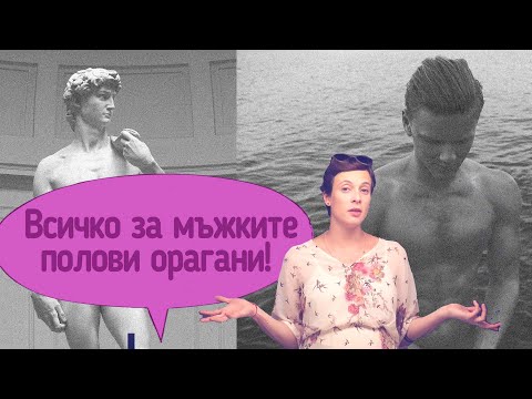 Видео: Мъжките полови органи. Как работи пенисът?