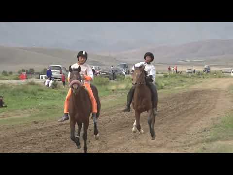 Видео: Аламан жарыш