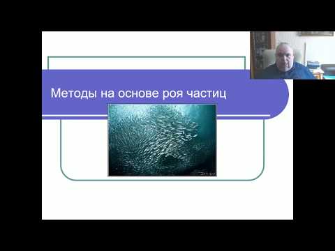 Видео: Эвристические алгоритмы. Часть 4. Метод роя частиц