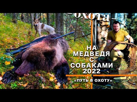 Видео: В ТАЙГУ ЗА МЕДВЕДЕМ