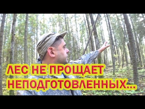 Видео: Самый главный инструмент для грибника