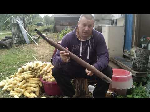 Видео: Бюджетная приманка для кабана.