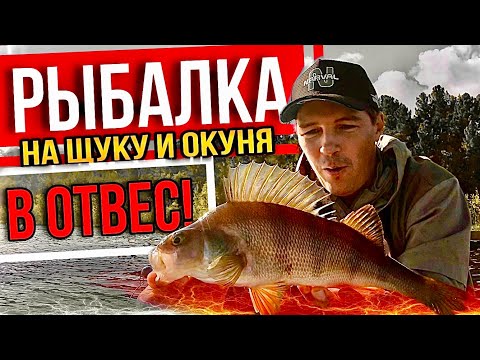 Видео: ЩУКИ И ОКУНИ В ОТВЕС! НА ЛОДКЕ С ЭЛЕКТРОМОТОРОМ В ТАЙГЕ.