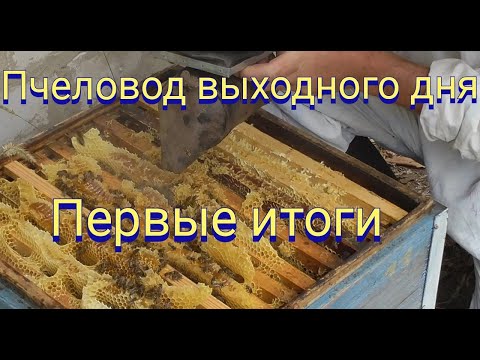 Видео: Результаты пчеловодства выходного дня. Сокращение гнезда, корма на зиму и товарный мёд.
