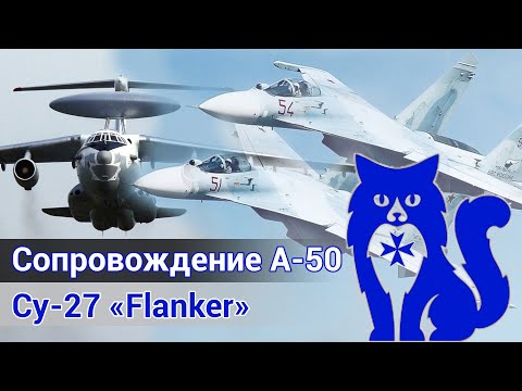 Видео: Су-27 "Flanker" - Сопровождение А-50 (парный вылет с действующим лётчиком) (DCS World) | WaffenCat