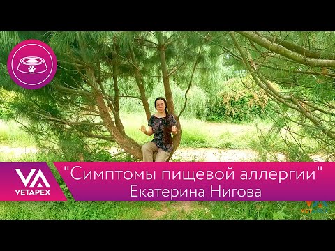 Видео: Кафедра Диетологии "Симптомы пищевой аллергии"