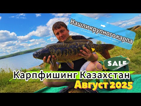Видео: Рыбалка на карпа 2025 — 3 дня в поисках трофея: Жукей, Лобаново, Шалкар или Тарангул?