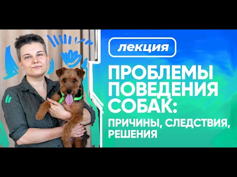 Видео: Запись лекции Насти Бобковой «Проблемы поведения собак: причины, следствия, решения»