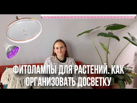 Видео: Как выбрать фитолампу для растений | организация досветки растений