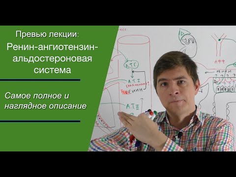 Видео: Превью. Ренин-ангиотензин-альдостероновая система (РААС). Самое полное и наглядное описание.