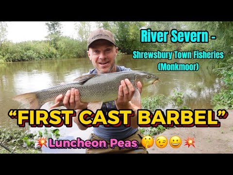 Видео: 🎣 ПЕРВЫЙ ЗАБРОС усача на горошек! (Тест наживки на каперсы для ловли печенья) 😉😀💥