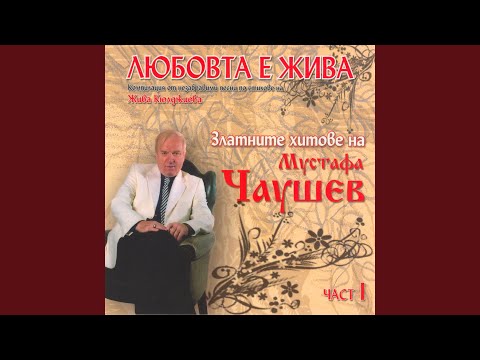 Видео: Палавница