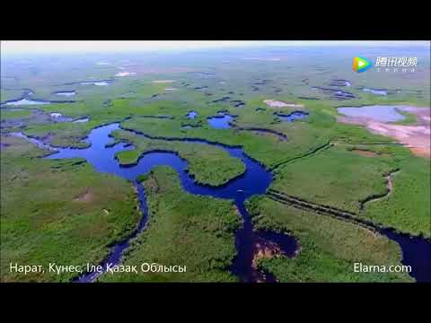 Видео: Талқы кезеңінде   Елмен амандасу, Таңжарық жолды ұлы 1904-1947,Reuniting with the beloved people, 又聚