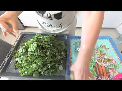 Видео: Чай из листьев малины и смородины,ферментация,заготовка.