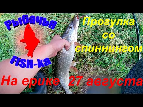 Видео: Прогулка со спиннингом!