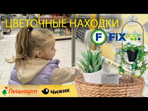 Видео: ЦВЕТОЧНЫЕ НАХОДКИ | Fix Price, Чижик, Галамарт