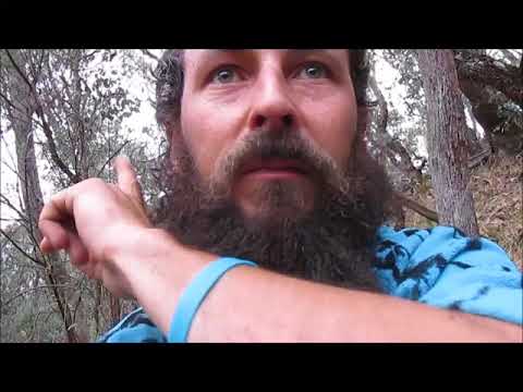 Видео: HDtv: Осенняя охота на замбара! 9,3x62 мм