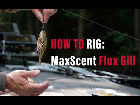 Видео: Откройте для себя всю мощь MaxScent Flux Gill | Демонстрация оснастки Эдвина Эверса