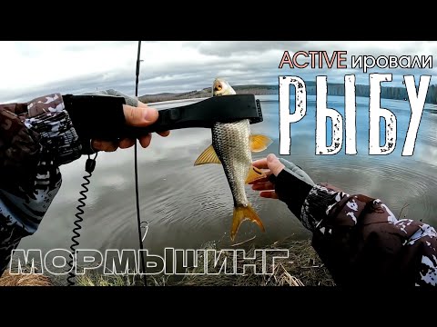 Видео: Рыбу активировали! Клюёт! Ловля ельца и плотвы на мормышинг
