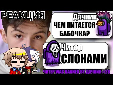 Видео: САМЫЙ УМНЫЙ И ТУПОЙ ЧИТЕР В АМОНГ АС/ Реакция на DАЧНИКА