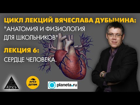 Видео: Вячеслав Дубынин: "Сердце человека" (Лекция 6)