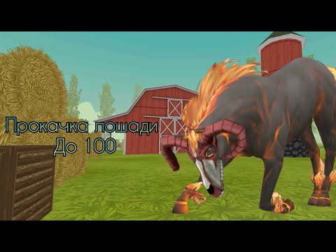 Видео: ПРОКАЧКА ЛОШАДИ ДО 100 | WildCraft