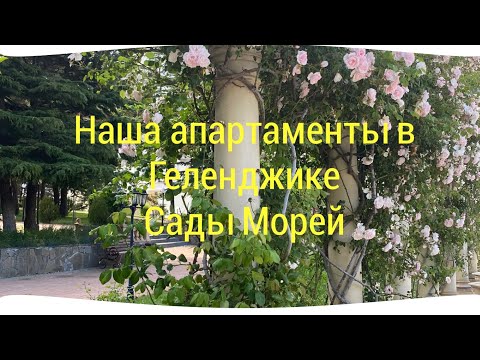 Видео: Наши апартаменты в Геленджике | ЖК САДЫ МОРЕЙ #travelvlog #геленджик #путешествия