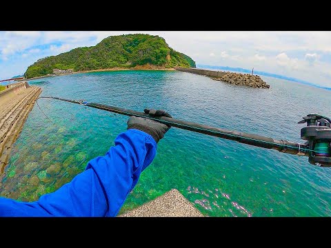 Видео: Это бесплатная приманка для ловли редкой рыбы