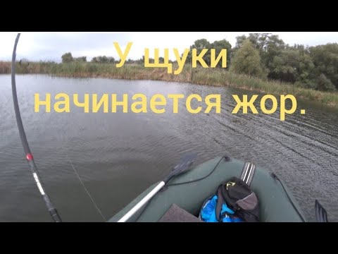 Видео: Щука осенью. Рабочие воблеры. Практические советы.