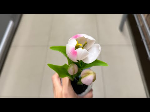 Видео: 💛 ЧИЖИК 💛  НОВИНКИ НЕДЕЛИ 🔥 Для дома, кухни и одежда 🤩 Смотрим первыми новинки магазина Чижик ✅