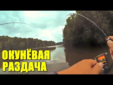 Видео: Клюёт - только кидай! Попали на раздачу окуня! Микроджиг!