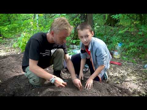 Видео: Раскопки древнего поселения у деревни Барыбинка (Тула)