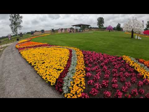 Видео: Как я повёлся на рекламу и поехал  в "'зазеркалье". #Алиса_в_Зазеркалье