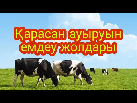 Видео: Қарасан ауруының ем жолдары