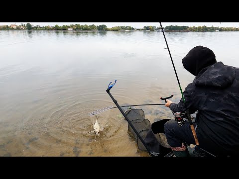 Видео: Жуків острів, Дніпровська Рів'єра. Лящ ще клює. Рибалка в Києві.  Середина жовтня. Фідер.